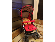 ����������� 015.jpg