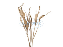 9867 ������ ��������� ����������� (10) 299�.jpeg