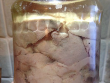 ������ ������ � ������ 0,7 ���������