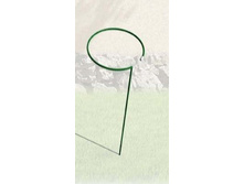 ����� ��� ������ �������