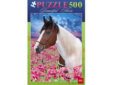 500��2 09503.jpg