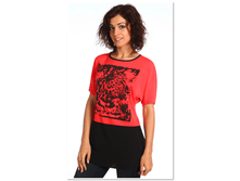 Big cat f7766afce88841aa887b3d767edd44c3.png
