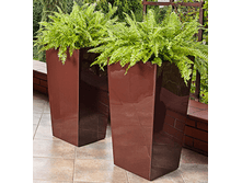 548 ����� �������