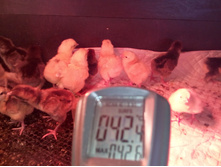 IMG 20160228 091104.jpg