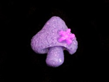 1854-02503 20�� 332.jpg