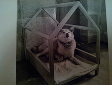 IMG 20160212 182709.jpg