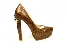 ������� ����� GLOSSI - 2050 ���