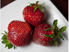 ������ NEW 60�.jpg