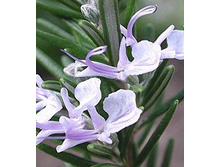 ������� ����� ��������� 46+%. � ������� 1 ��.jpg