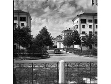 1950 ���. ���� ������������ ��������. �.��������������.jpg