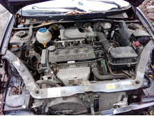 IMG 20151024 155038.jpg