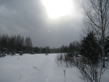 IMG 7502.jpg