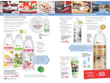 Cat-02-2016-small 78.jpg