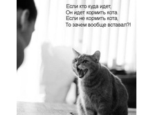 ���� ��� ���� �ģ� - �� �ģ� ������� ����!