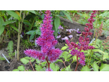 ���� ���2.JPG