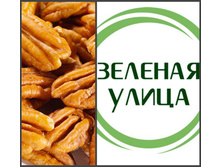 ���� ����� 80 �� - 241 ���