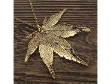 ����� "���� ��������� �����" ������, ���������. �������