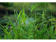 ������� ����� ���������� 68+%. � ������� 1 ��.jpg