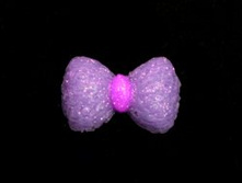 1854-06939 20�� 299.jpg