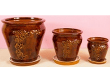 ����� ������� ���� ����������