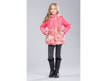 ������� C5808