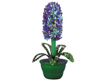 ����� �� ������� ������� 137,79.jpg