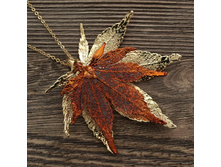 ����� "���� ��������� ����� " ������ - ����, ���������.