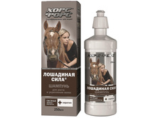 ��������� ���� ������� ��� ����� � ���������� ����� � ��������� �� ������ ������� ���, 250�� - 400,02 ���