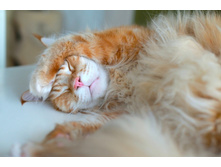 �� ���� �� ���� �� ����