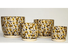 203Z �������