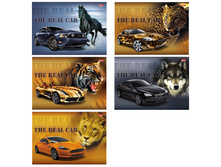 ������ ��� ��������� 24�. �4 �� ������� Real Car 30,28.jpg