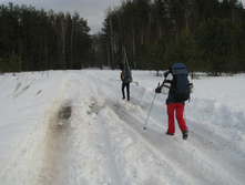 IMG 6058.jpg