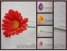 20-2014 ������� 24,3�