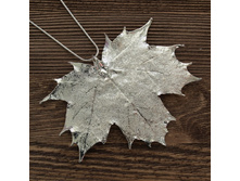 ����� "���� ��������� ���� " �������, ���������. �������