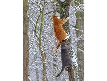 ������ ��? ������?