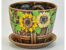 �������� ����