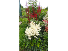 ���� ���� (2).JPG