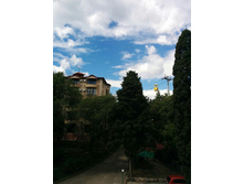IMG 20150628 101125.jpg