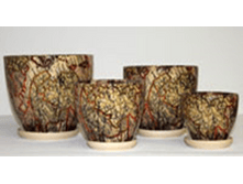 202 ������