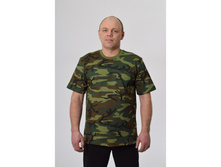 �������� � 009