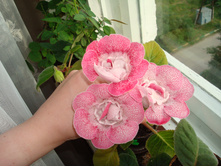 ��������� ���������