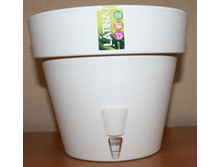 ����� (������) "LATINA" 5,6 �