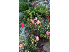 20150902 181814.jpg