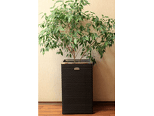 8.������������ �����