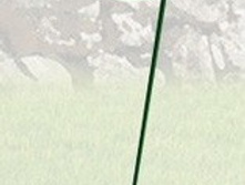 ����� ��� ������ �����