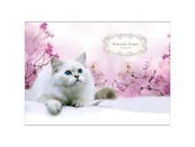 ������ ��� ��������� 16�. �4 �� ������� �����-������. Romantic season, ���� 100 �-�2 17,44.jpg