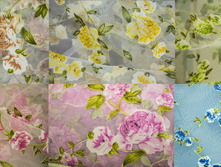 ����� �����