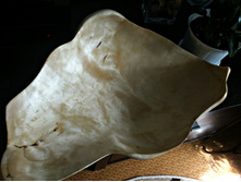 ����. ��������� ������. ��������� ������.