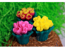 ����� ��������� - 150 ���.