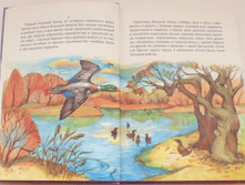 1455191292 2ac878628b1cb1f79431313eec529954.png